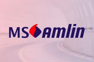 MS Amlin