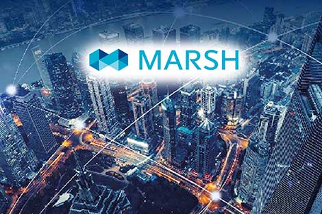 Marsh blockchain