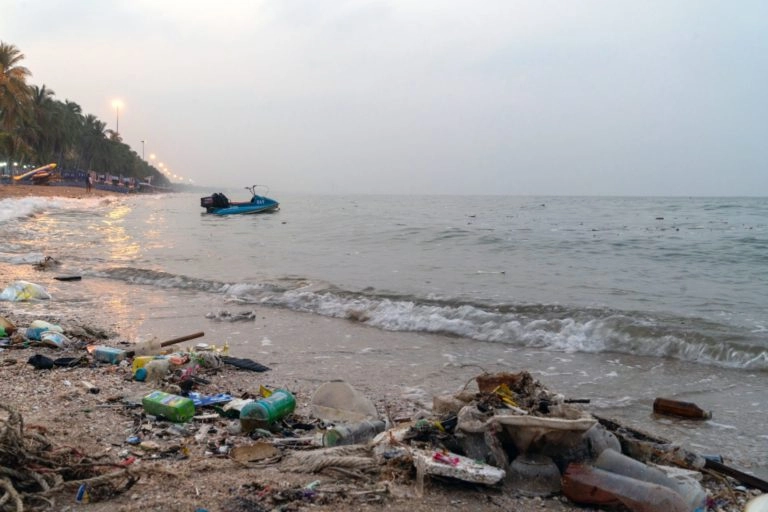 plastic pollutes oceans